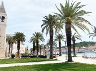 Trogir-palms-and-church