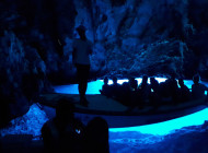 Croatia Blue Cave trip